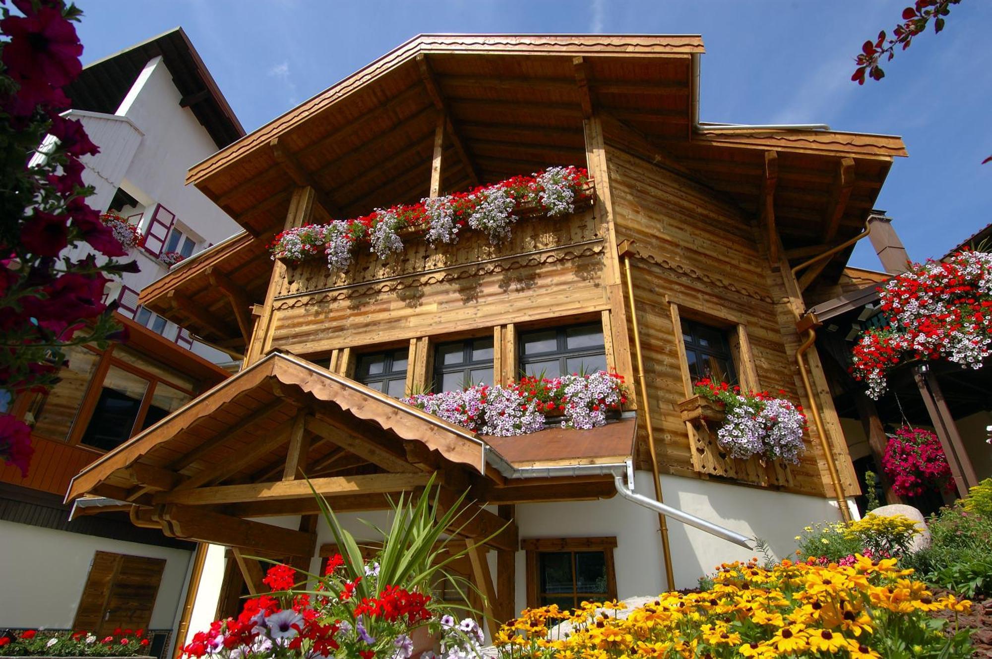 Les Bas-Rupts Otel Gérardmer Dış mekan fotoğraf
